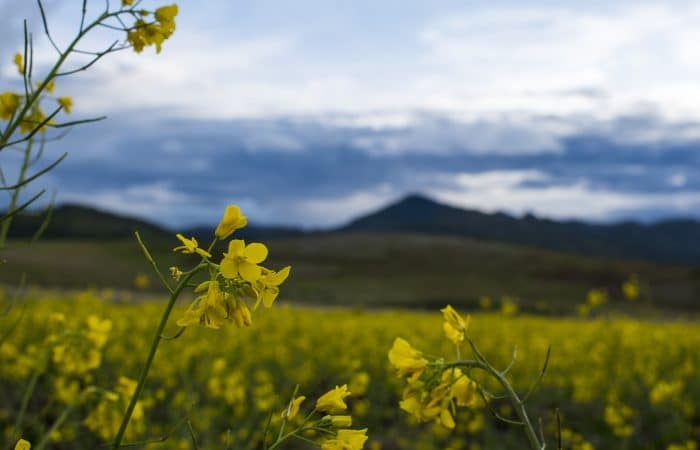 Volontariato in Bolivia istruzione per adulti