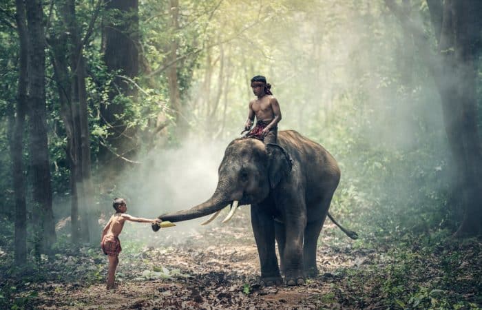 Progetto lungo termine in India