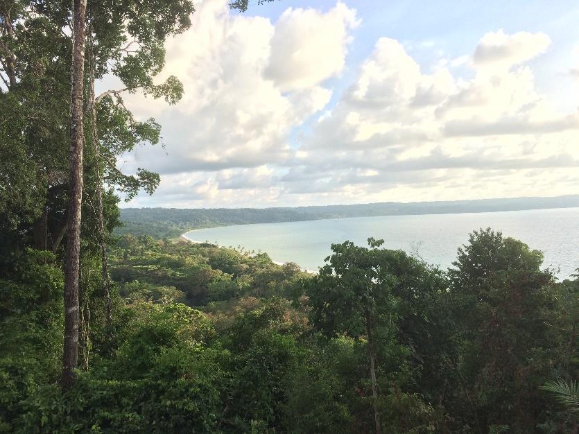 Volontariato in Costa Rica riserva naturale costa caraibica