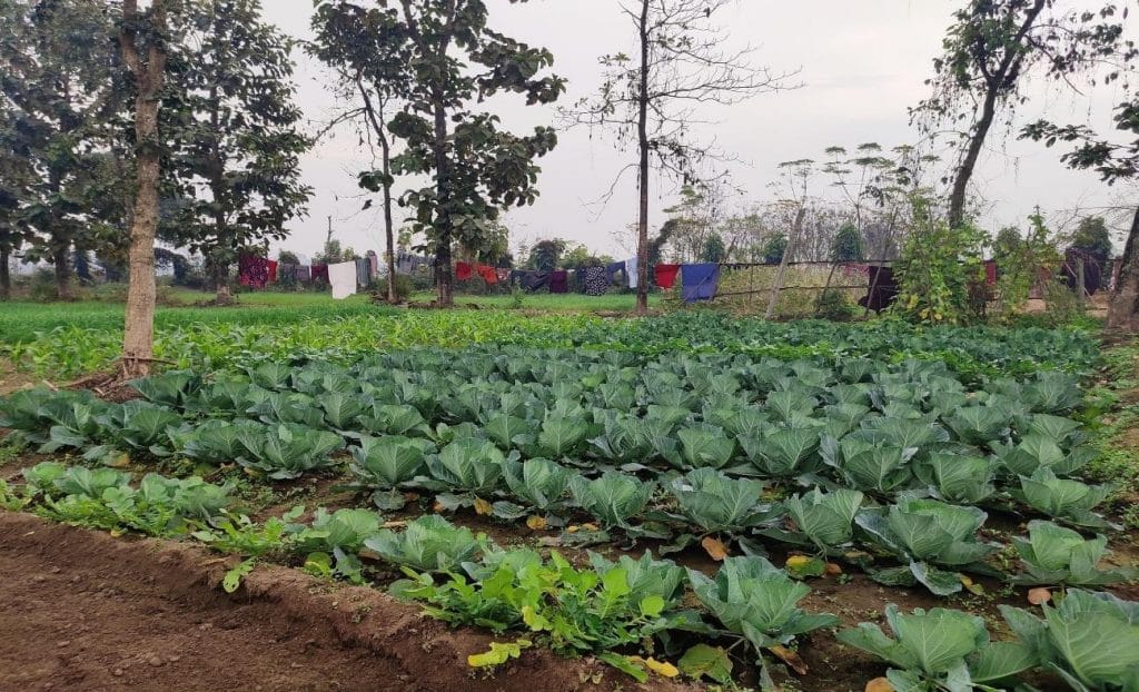 Agricultural farm