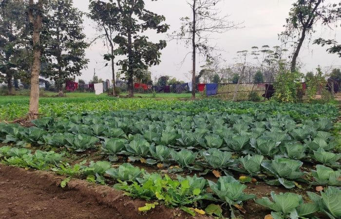 Agricultural farm