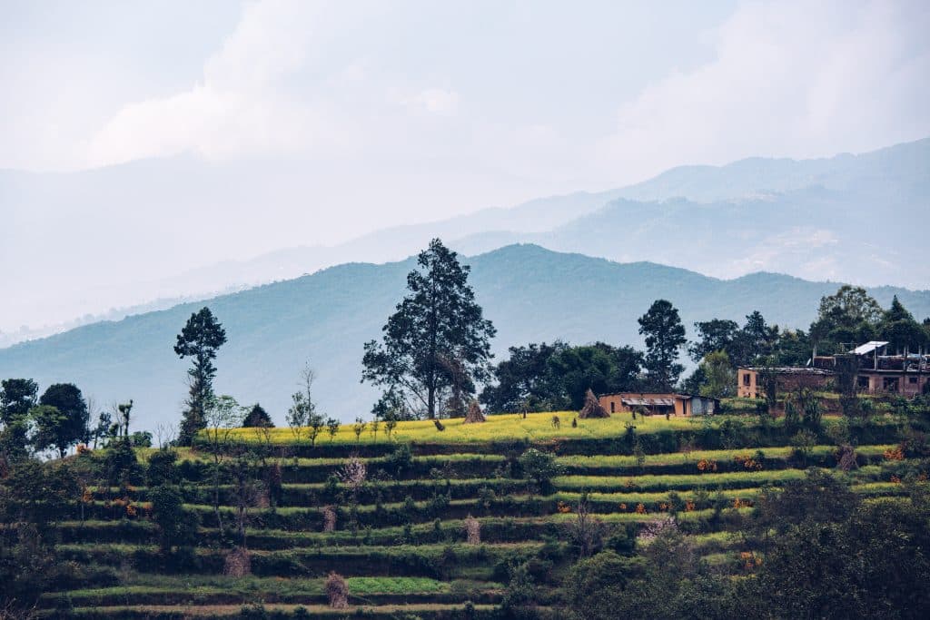 Organic farm