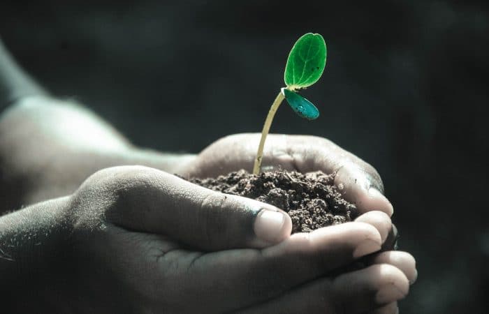 Volontariato Filippine settore agricolo