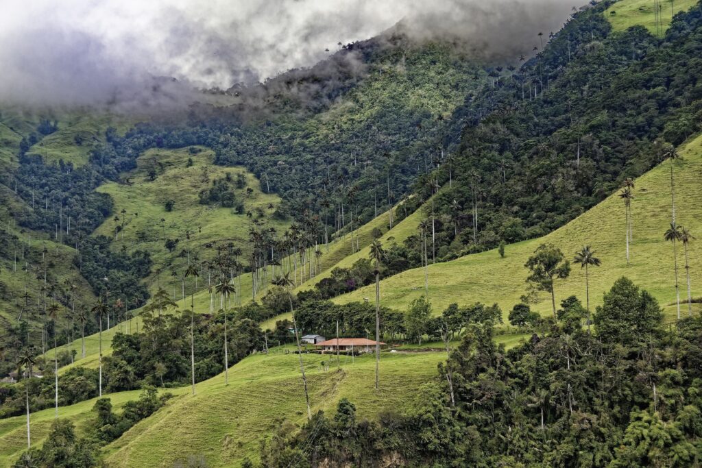 Volontariato in Colombia riserva naturale