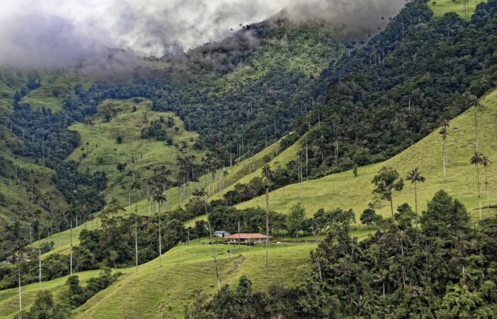 Volontariato in Colombia riserva naturale